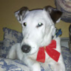 Meet your Posher, Annmarie